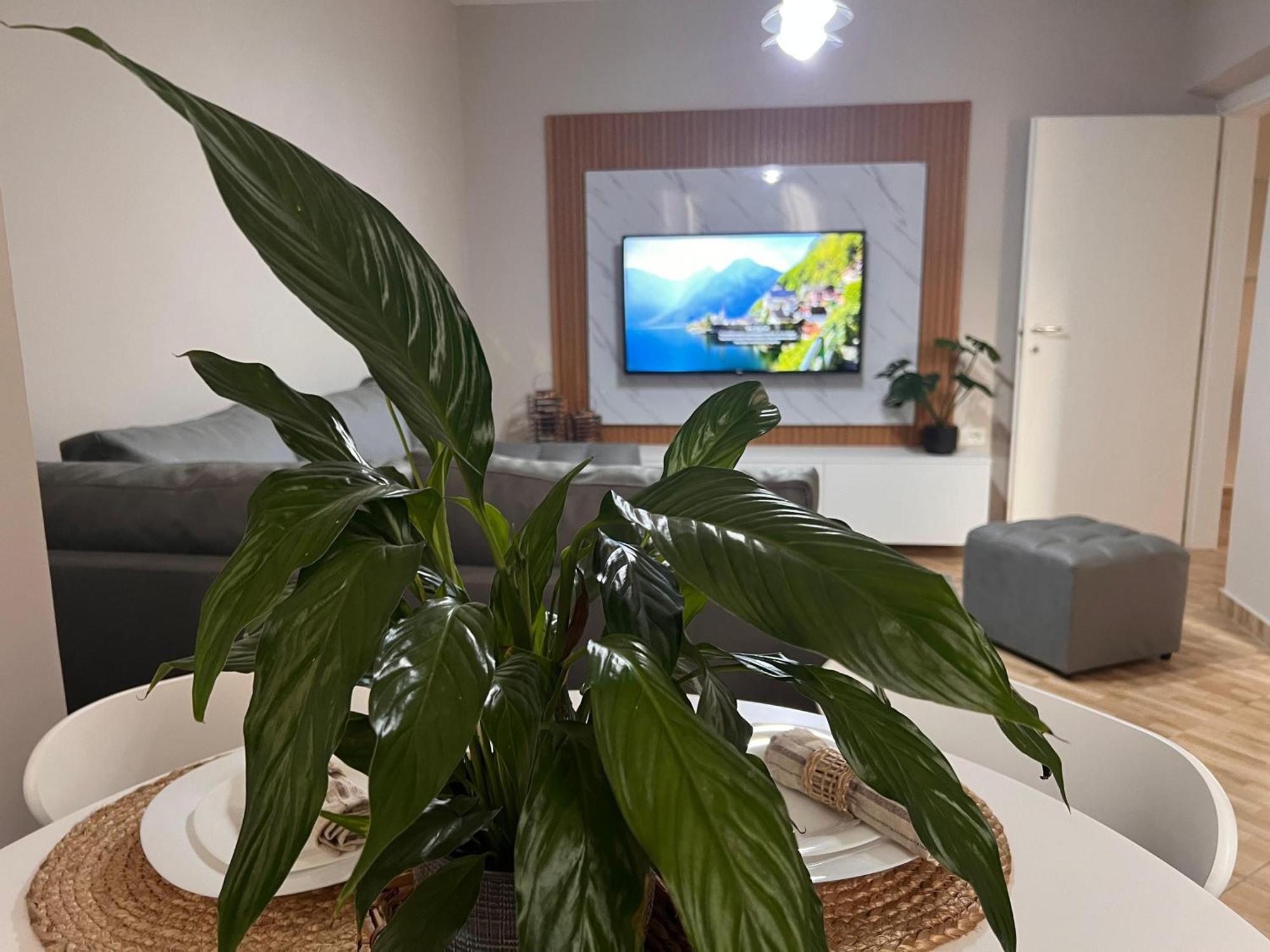 New Modern Tirana Apartment Bagian luar foto